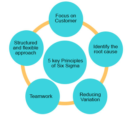 Six-Sigma-Principles-Lean Six Sigma Curriculum Tampa